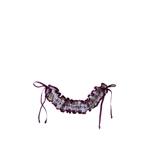 ANSE FROUFROU - VICHY ET LILAS